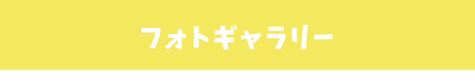 フォトギャラリー