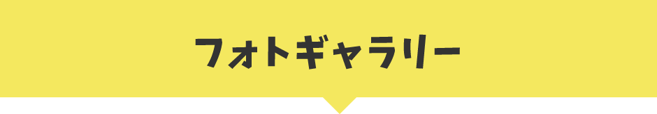 フォトギャラリー